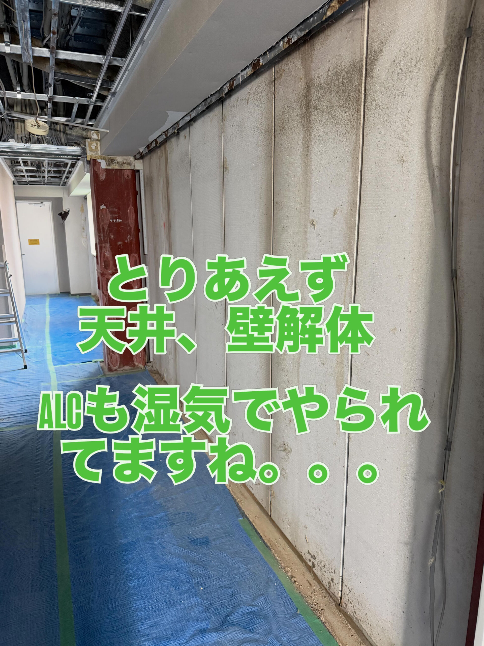 鈴鹿市ホテルのフロア、天井と壁を解体して内装工事をさせてもら
